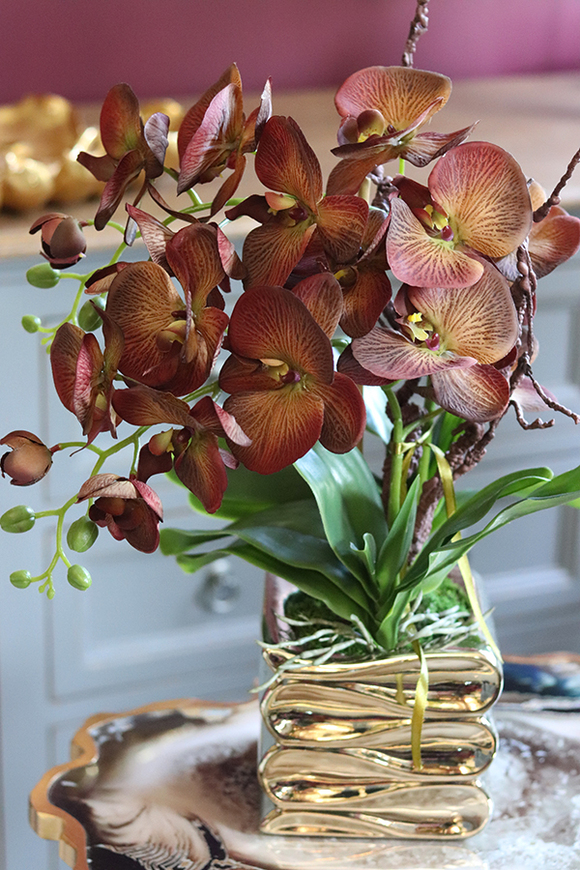 brązowy storczyk w złotej donicy, Mallona Gold, wys.48cm 