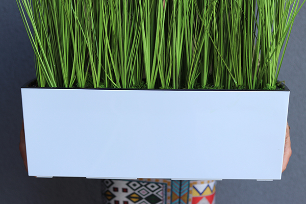 kompozycja z traw w białej donicy Devilla z kłosami, wys.86cm 