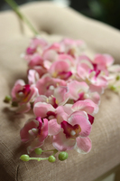 gałązka kwiatowa, drobny sztuczny storczyk / orchidea Różowy, 1 szt, dł.74cm