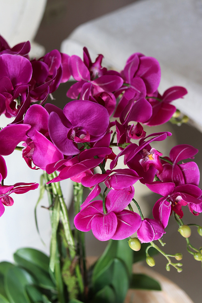 Fuksja Silver Bowl, sztuczny storczyk w metalowej misie, wys.64cm