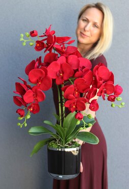 Karminowa Delicja, sztuczny storczyk w czarnej donicy, wys.60cm