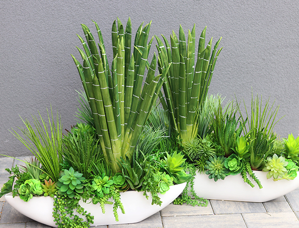 Big Laos Sukulenty, egzotyczna kompozycja w białej donicy, wym.67x67cm