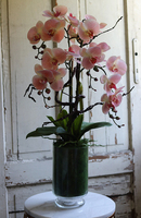 Glassier Pollysa, różowy storczyk w szklanym pucharze, wys.80cm