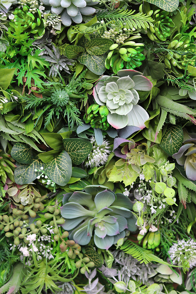 atrakcyjna jednostronna rama Sorella Sukulenty, wym.74x54cm