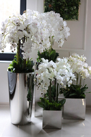 ekskluzywny storczyk w stalowej donicy, Moderno Mirror Cube, większy, wys.92cm