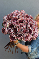 bukiet 43 fioletowych róż, Rolania Purple