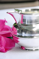 mlecznik posrebrzany Pablo 