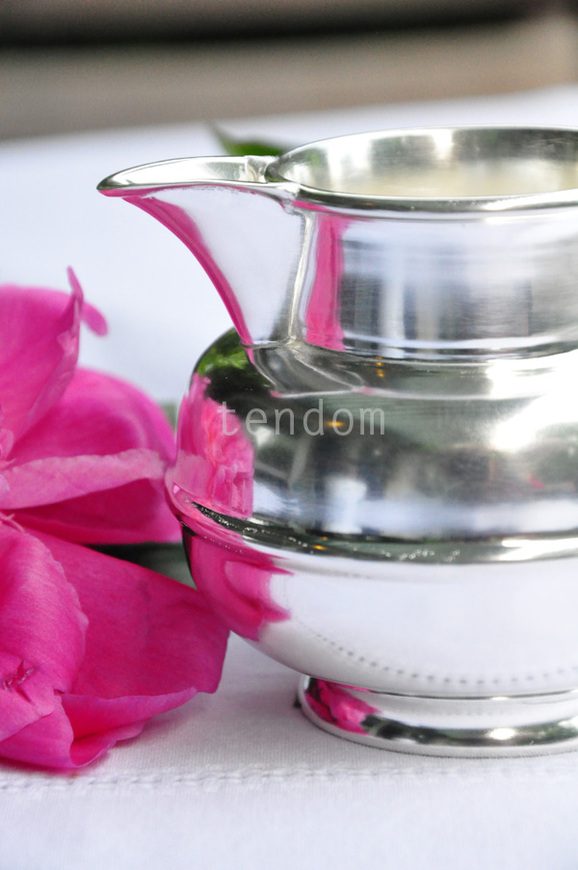 mlecznik posrebrzany Pablo 