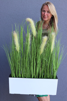 kompozycja z traw w białej donicy Devilla z kłosami, wys.86cm 