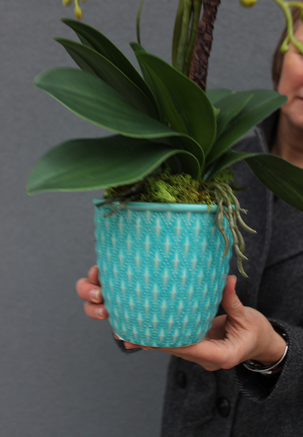 Turkusowa Magia, storczyk w ceramicznej donicy, wys.60cm