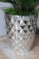 Filano Silver, sztuczny storczyk w srebrnej donicy, wys.60cm