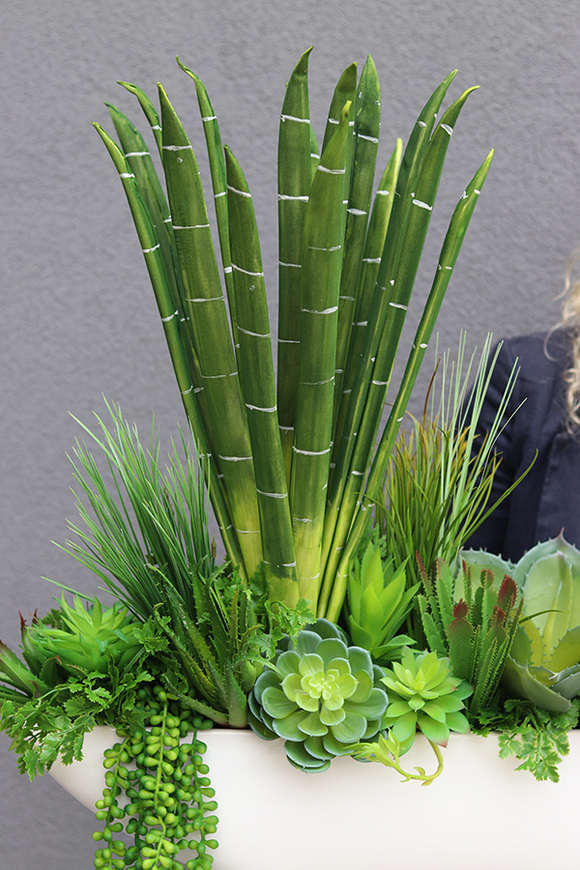 Big Laos Sukulenty, egzotyczna kompozycja w białej donicy, wym.67x67cm