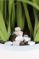 Genarra Grande Fiberglass, kompozycja ze sztucznych traw, wys.177cm