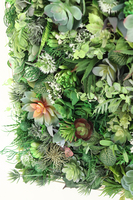 atrakcyjna jednostronna rama Sorella Sukulenty, wym.74x54cm