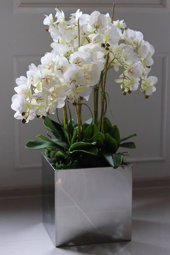 ekskluzywny storczyk w stalowej donicy, Moderno Mirror Cube, większy, wys.92cm