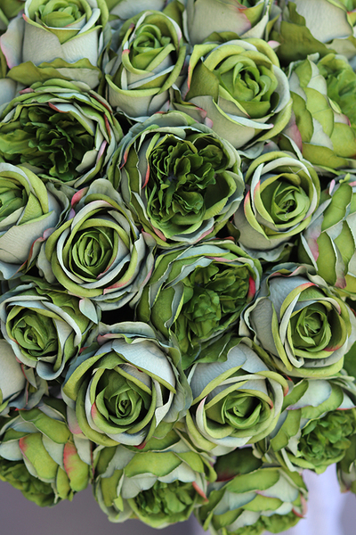 bukiet 41 zielonych róż, Rolania Green, dł.65cm