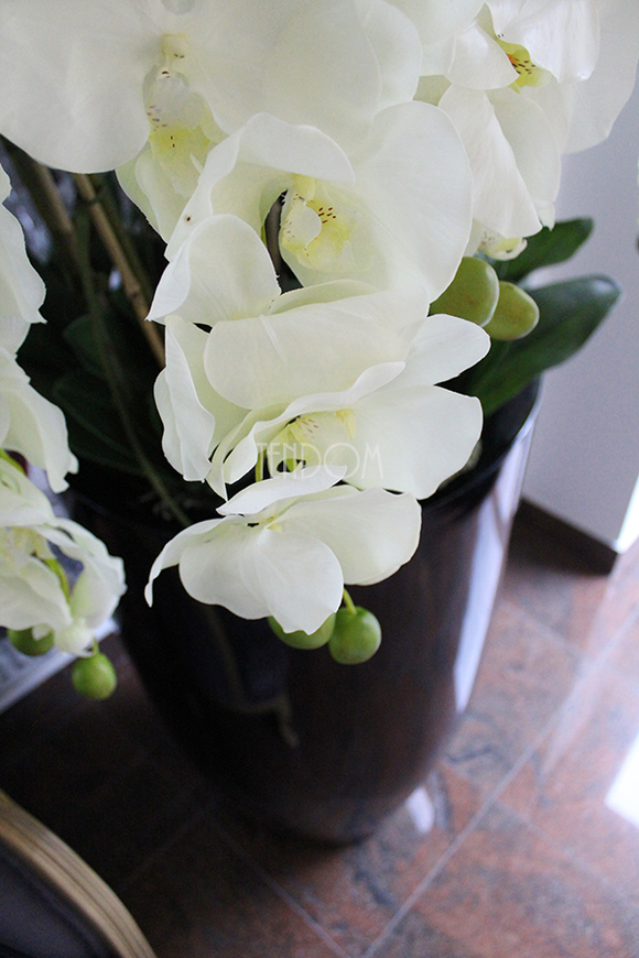 ogromny storczyk Design Black Grande w donicy, wys.174cm