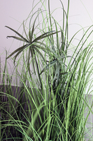 kompozycja Trawy IV Minimalism w białej donicy, wys.110cm