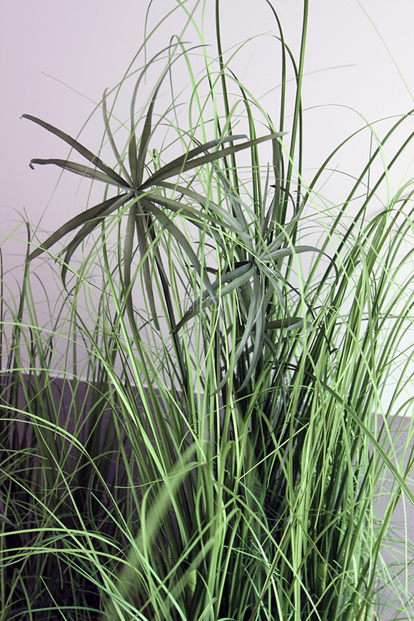 kompozycja Trawy IV Minimalism w białej donicy, wys.110cm