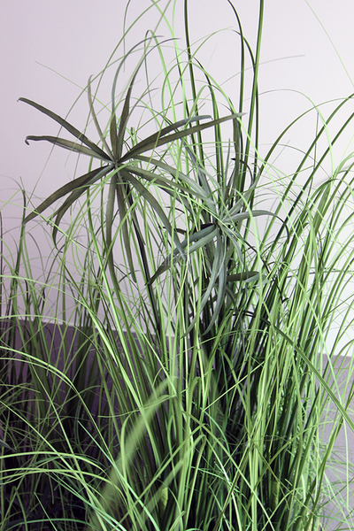 kompozycja Trawy IV Minimalism w białej donicy, wys.110cm