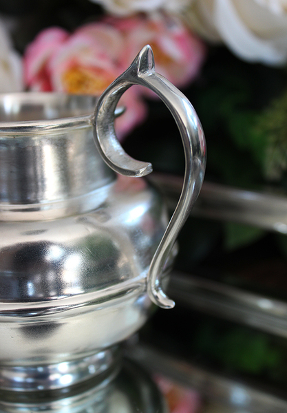 mlecznik posrebrzany Pablo 