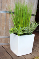 kompozycja Trawy & Sukulenty Duo w sześciennej donicy, wys.76cm