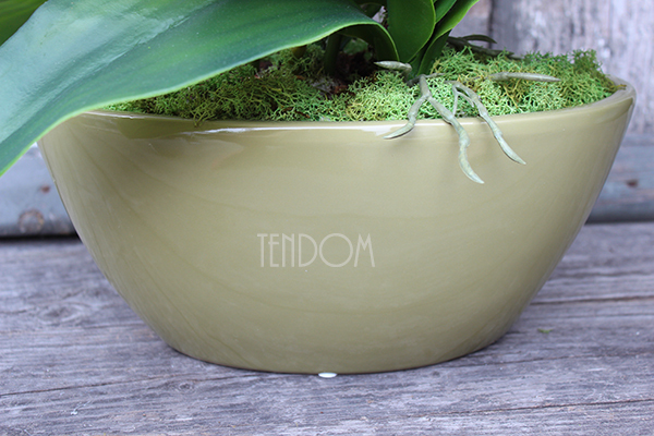 Ballano Green storczyk w zielonej podłużnej donicy wys.58cm