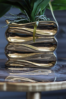 brązowy storczyk w złotej donicy, Mallona Gold, wys.48cm 