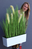 kompozycja z traw w białej donicy Devilla z kłosami, wys.86cm 