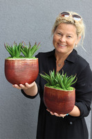 gumowa sztuczna roślina, Sukulent Aloes 67, wym.12x15cm 