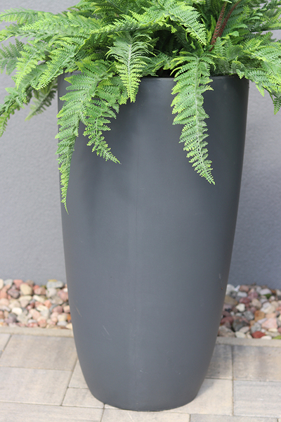 kompozycja w betonowej donicy, Paproć Ecolite Grande, wys.108cm