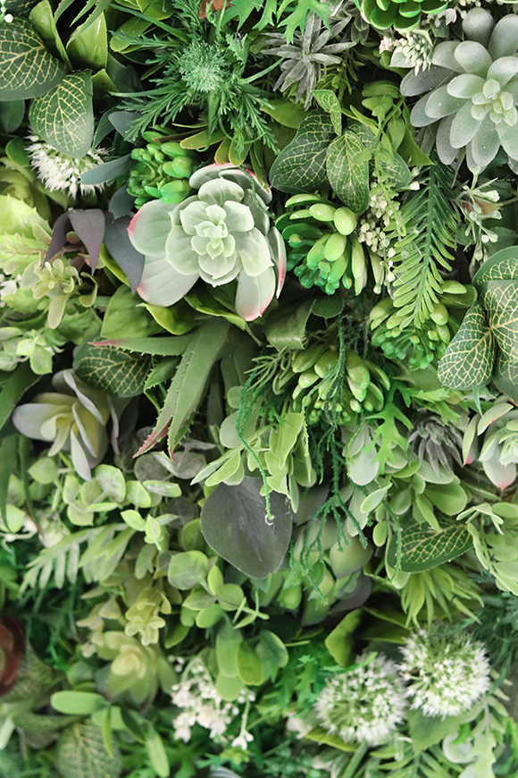 atrakcyjna jednostronna rama Sorella Sukulenty, wym.74x54cm