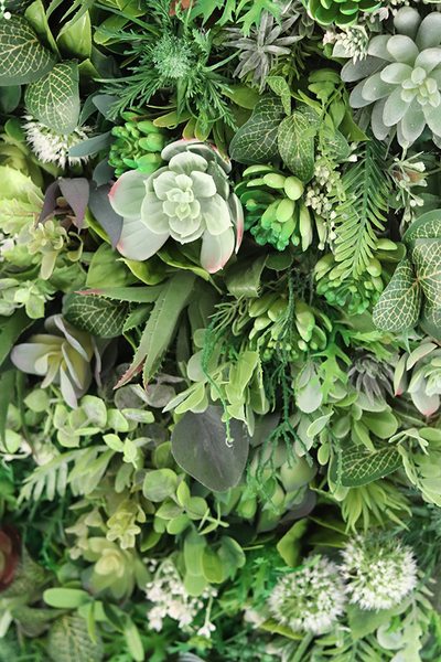 atrakcyjna jednostronna rama Sorella Sukulenty, wym.74x54cm