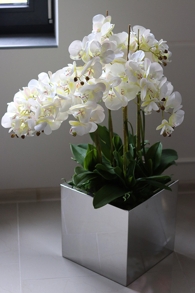 ekskluzywny storczyk w stalowej donicy, Moderno Mirror Cube, większy, wys.92cm