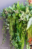 Boggotina Balconera, ekskluzywna kompozycja roślinna w donicy, wym.120x120cm