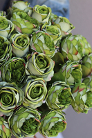 bukiet 41 zielonych róż, Rolania Green, dł.65cm