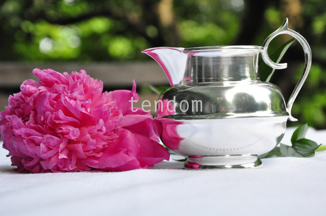 mlecznik posrebrzany Pablo 