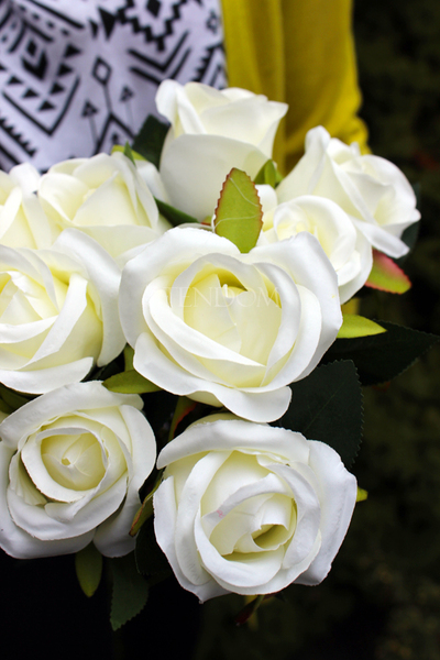 bukiet 10 szt. jasnokremowych róż, wys.30cm