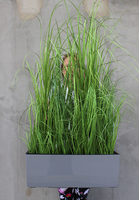 kompozycja traw w szarej donicy Greta, wys. 110cm