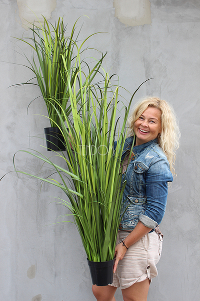 sztuczna trawa niska Moris, wys. 70cm 