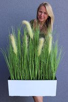 kompozycja z traw w białej donicy Devilla z kłosami, wys.86cm 