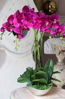 Fuksja Silver Bowl, sztuczny storczyk w metalowej misie, wys.64cm