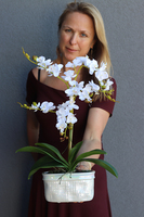 Mini Pearl, storczyk w osłonce z porcelany, wys.47cm