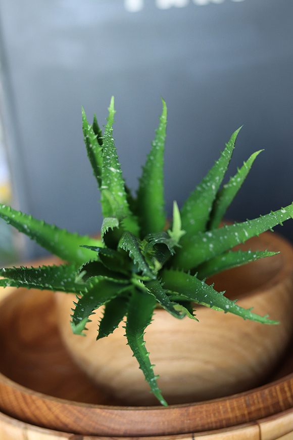 gumowa sztuczna roślina, Sukulent Aloes 74, wym.30cm