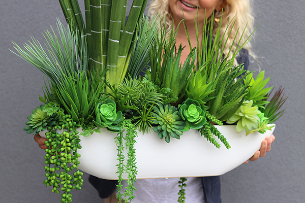 Big Laos Sukulenty, egzotyczna kompozycja w białej donicy, wym.67x67cm