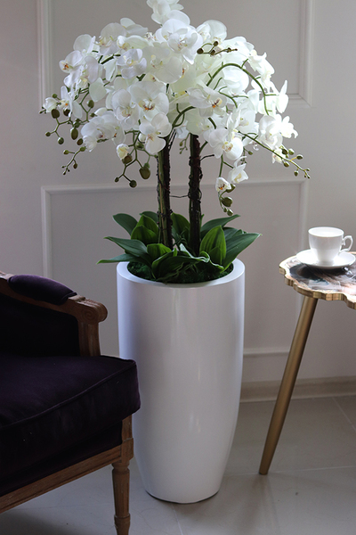 Grande Fiberglass Fenice, efektowny storczyk w białej donicy z fiberglass, wys.118cm