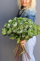 bukiet 41 zielonych róż, Rolania Green, dł.65cm