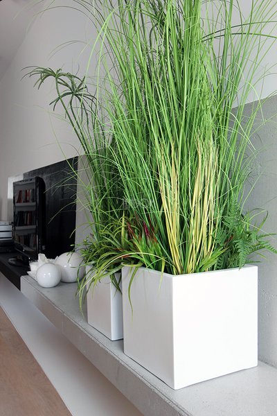 kompozycja Trawy IV Minimalism w białej donicy, wys.110cm