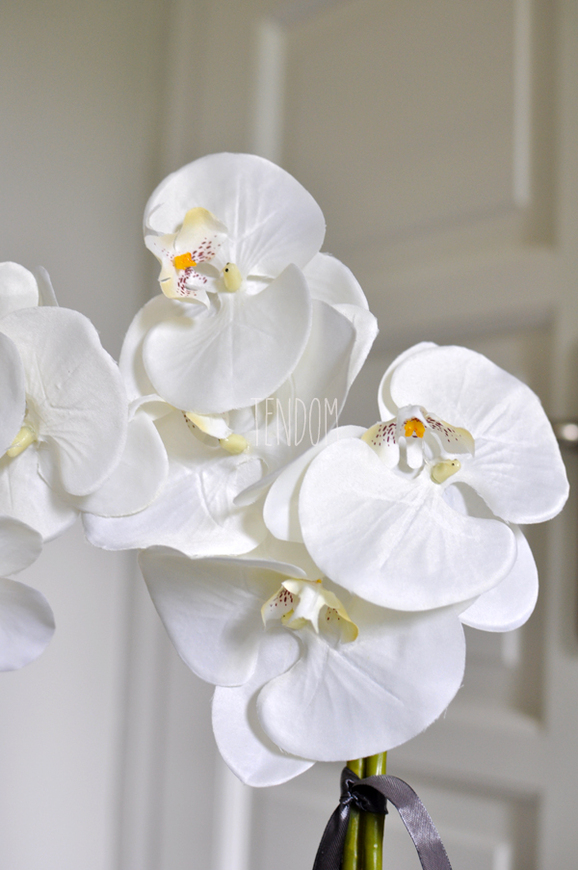 storczyk Terazzo w ceramicznej, białej donicy wys.52cm