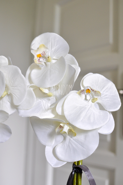 storczyk Terazzo w ceramicznej, białej donicy wys.52cm